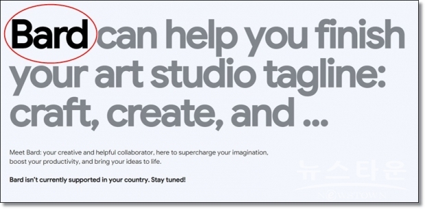 bard.google.com  capture 