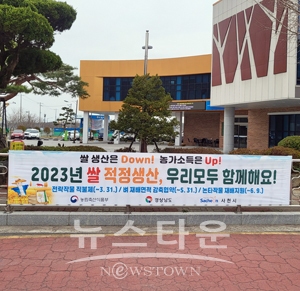 쌀 과잉생산