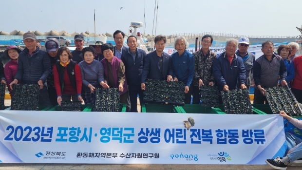 포항시는 29일 영덕군과 함께 포항시 송라면 지경리, 영덕군 남정면 부경리 경계 지점에서 어린 전복 10만 마리를 합동 방류했다.