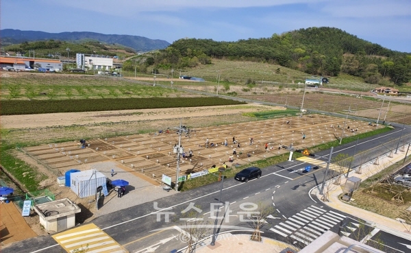 시민텃밭 전경