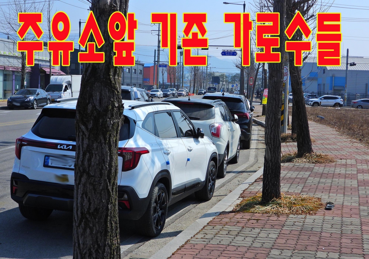 새로보식한 가로수와 기존의 가로수의 차이가 너무나 차이가 난다. 원주시는 회계관리를 제대로 하는지 여부도 파악해야 할것같다.