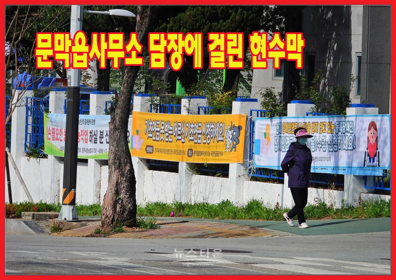 원주시 현수막관리 엉망진창