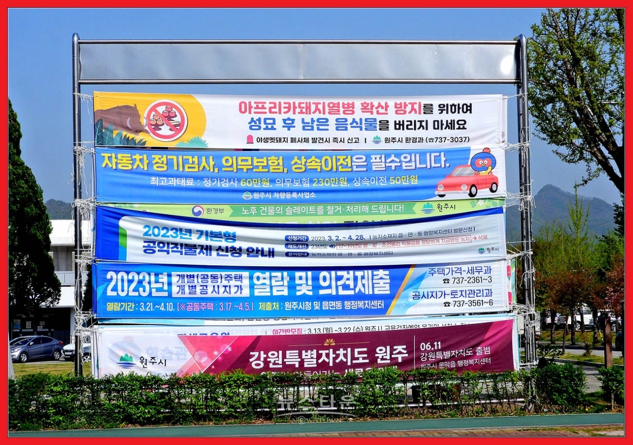 원주시 현수막관리 엉망진창