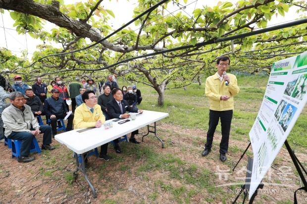 고창군청 제공