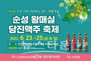순성 왕 매실·당진 맥주 축제
