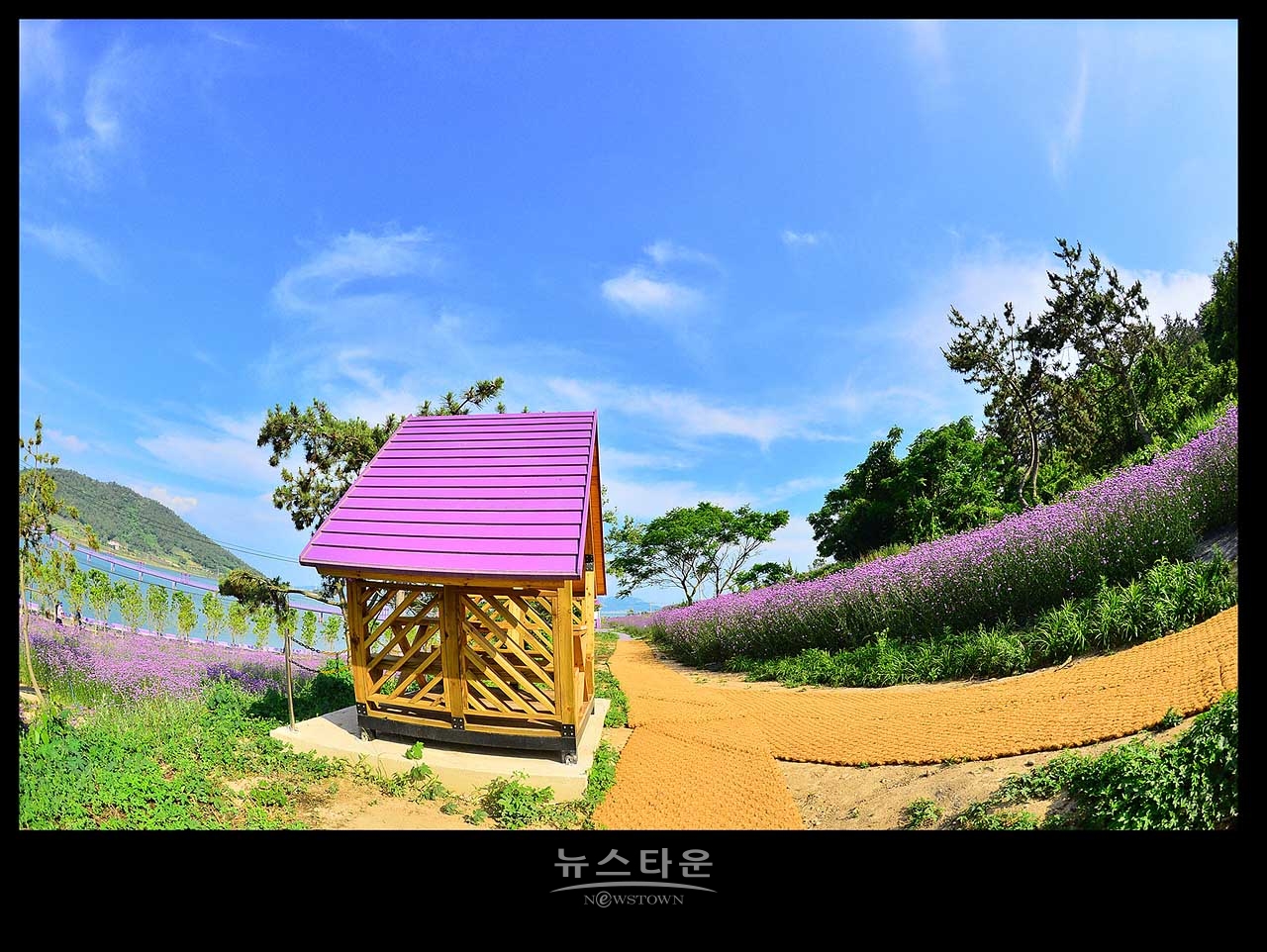 신안 반월도 퍼플섬