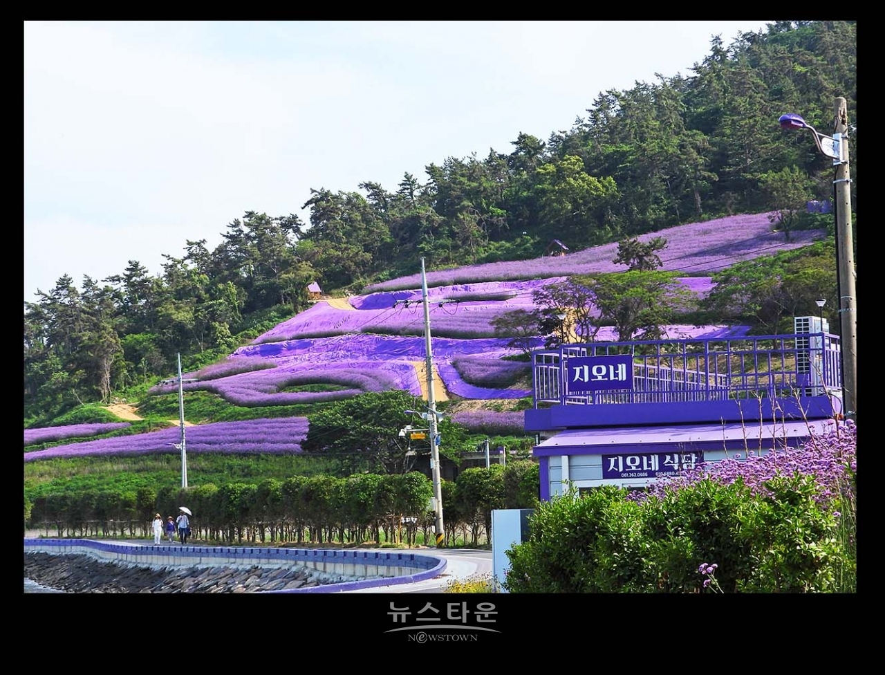 신안 반월도 퍼플섬