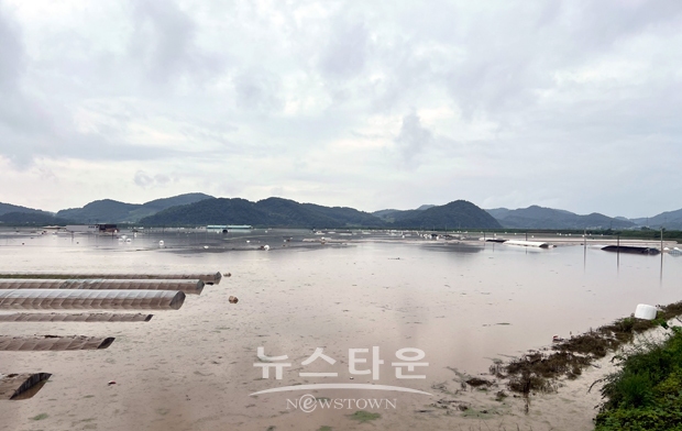 농경지·축사·주택 침수