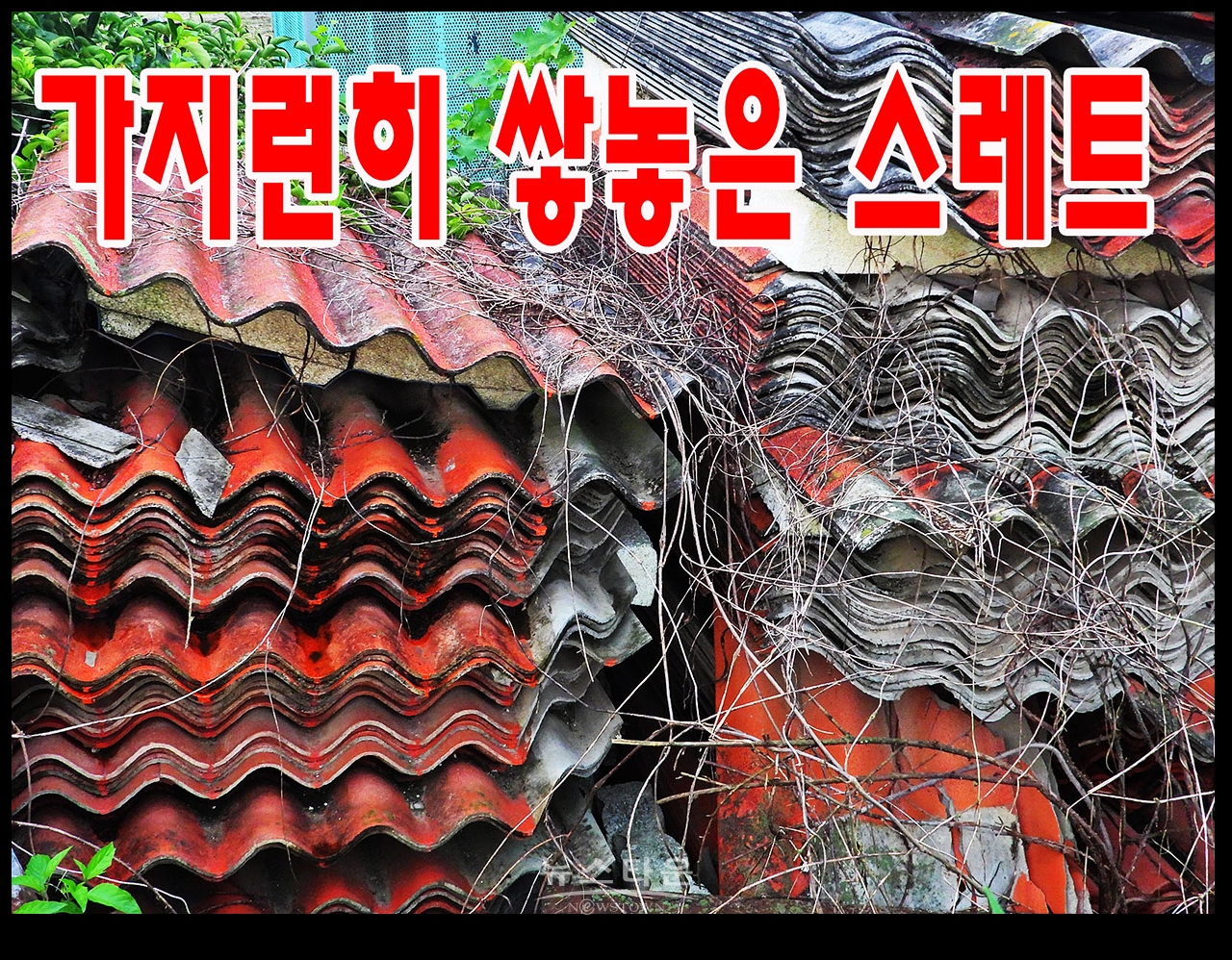 환경부의 스레트 철거방침과 공터에 방치된 스레트