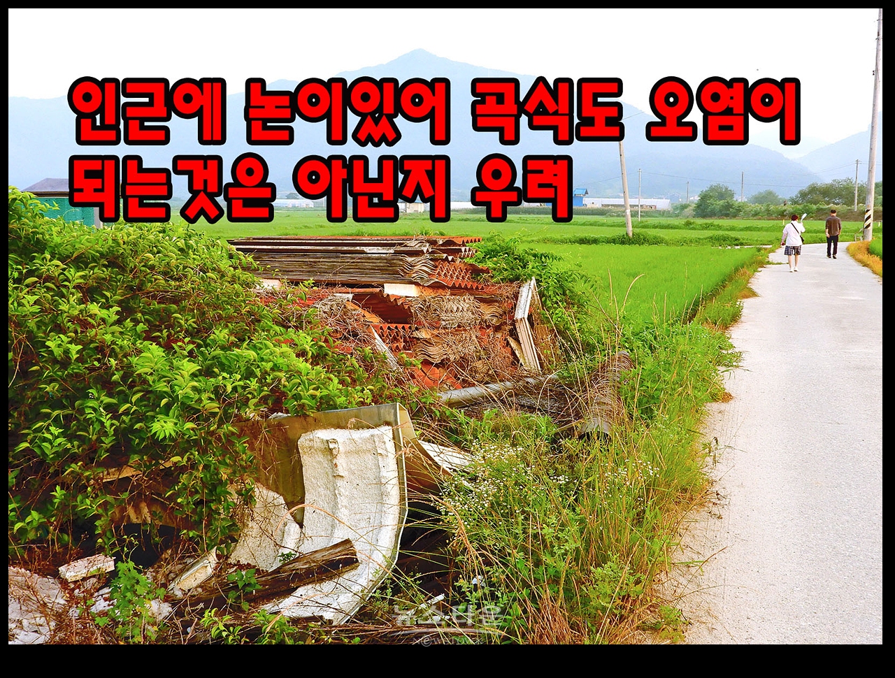 환경부의 스레트 철거방침과 공터에 방치된 스레트