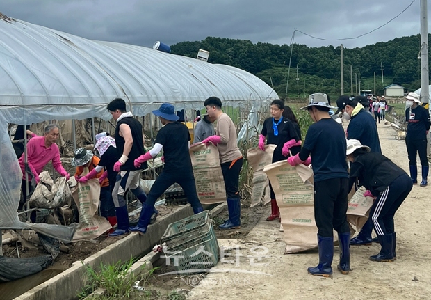 청남면 수박 농가 복구 지원