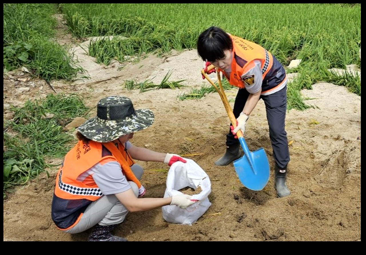 사진 : 홍천소방서 의용소방대연합회 제공
