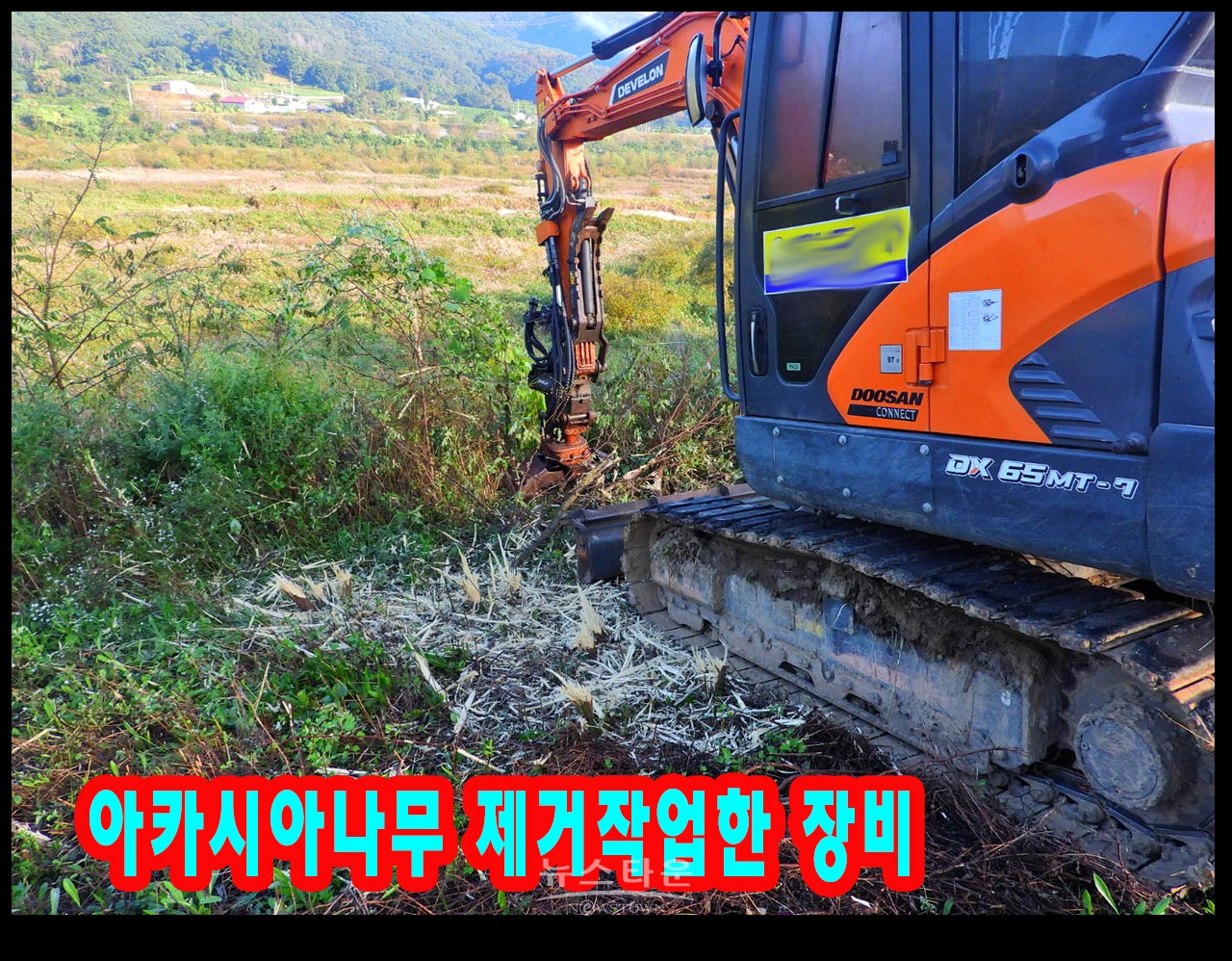 장난같은 나무제거작업