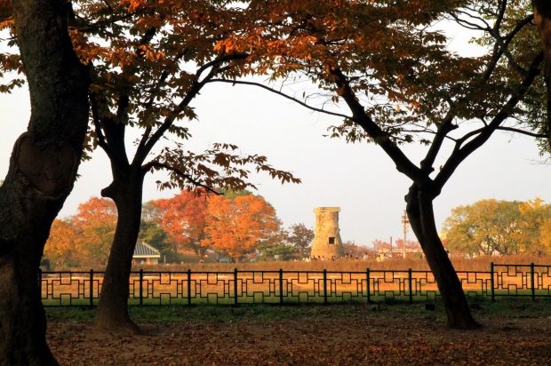 가을 첨성대 전경