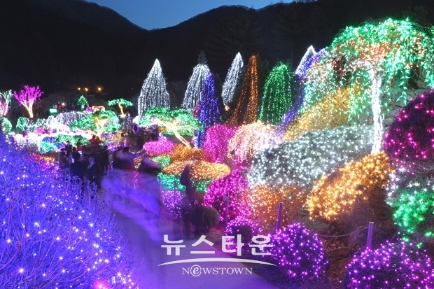 아침고요수목원 ‘오색별빛정원전’