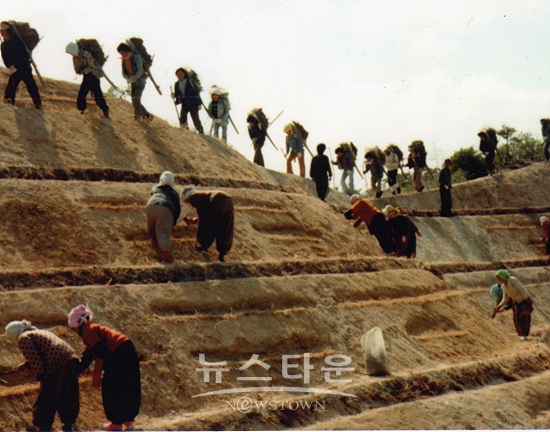 영일만 복구사업 당시사진(사진=산림청)