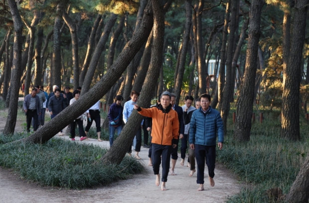 이강덕 시장이 지난해 송도솔밭에서 간부공무원들과 함께 맨발걷기를 하고 있다.