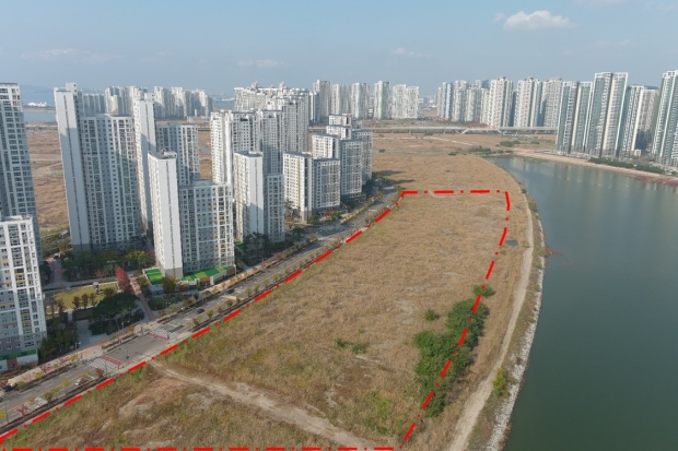A12 부지 산책로 조성구간