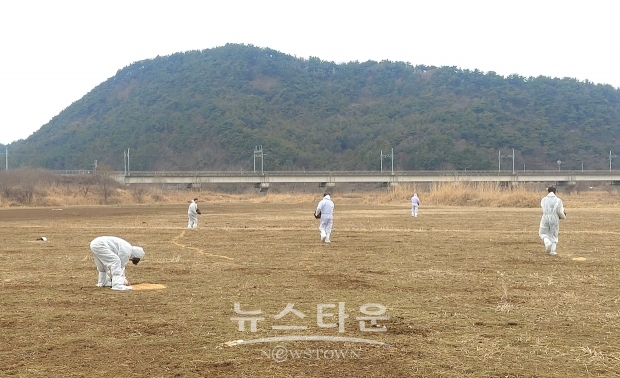 관 화포천 겨울철새 먹이주기 행사