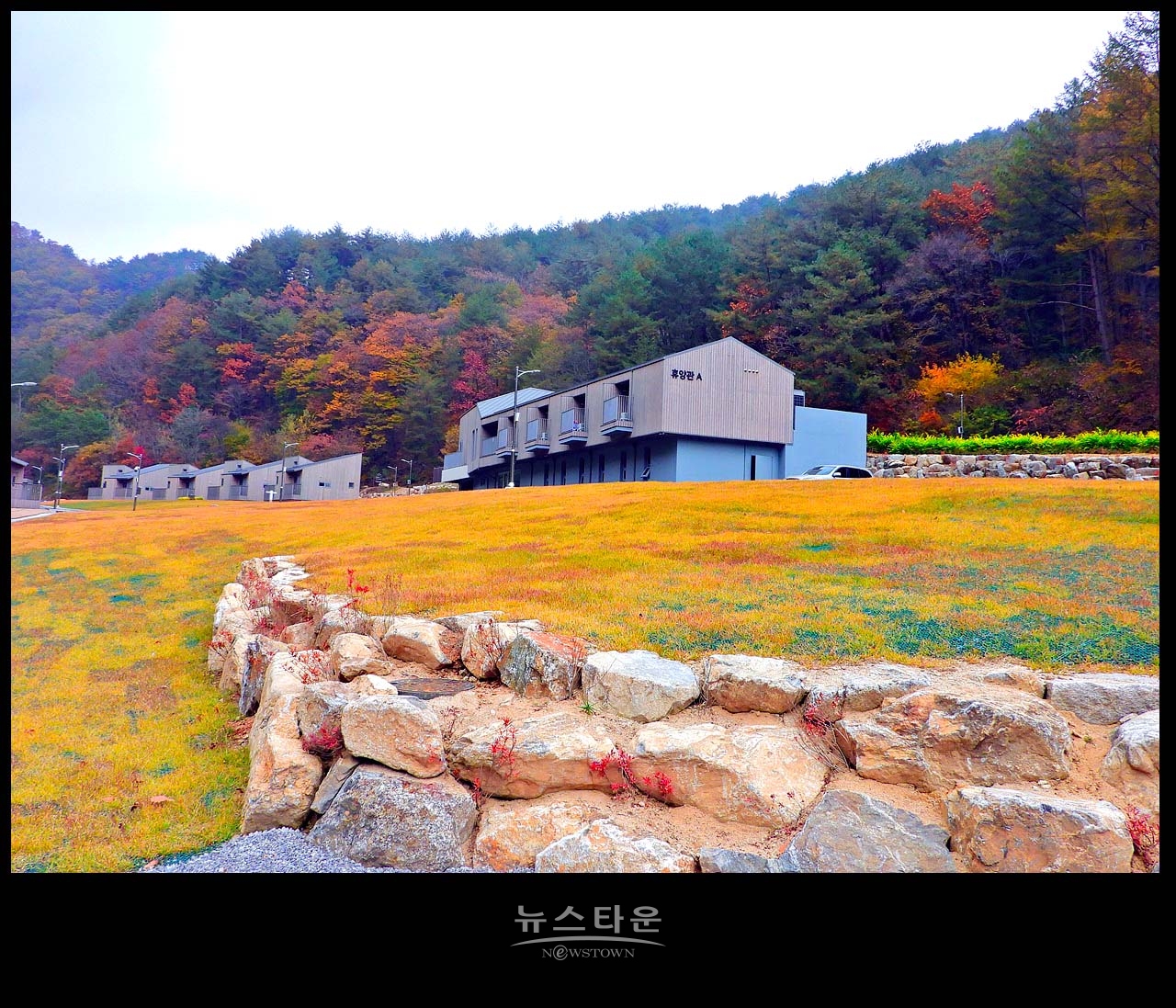 인제 갯골 휴양림