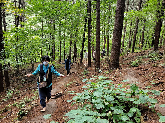 국립산림자연휴양림/산림청