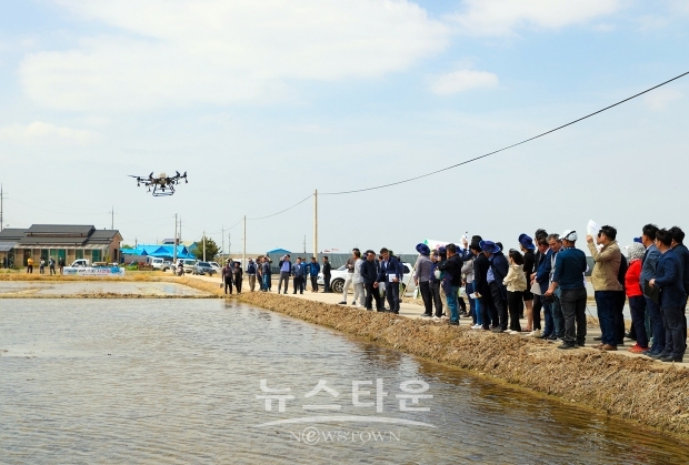 드론 벼 직파재배 시연