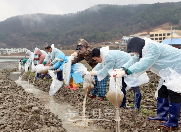 개불 수산종자 6만 7000여 마리 실안어촌계 마을어장에 방류