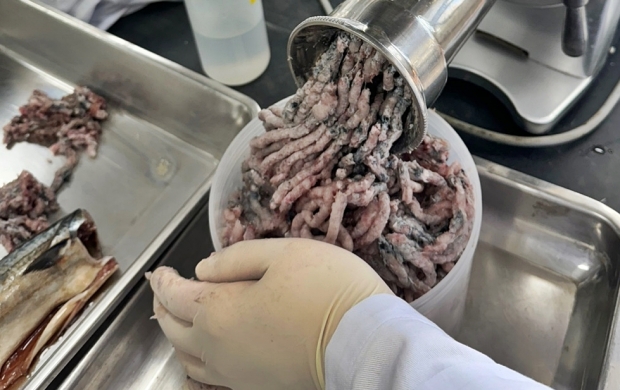 수산물 분석을 위해 연구원이 전처리를 하고 있는 모습