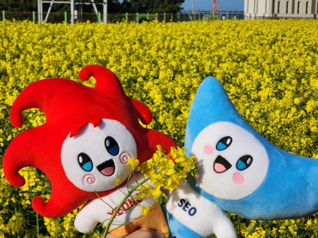 호미곶 유채꽃밭과 포항시 마스코트 연오세오.