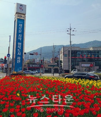 시가지 튤립 꽃길 조성
