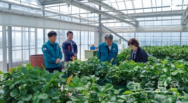 유희동 기상청장, 논산 딸기 농가 및 딸기연구소 방문