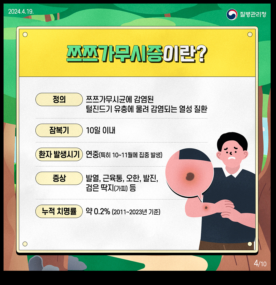 카드뉴스