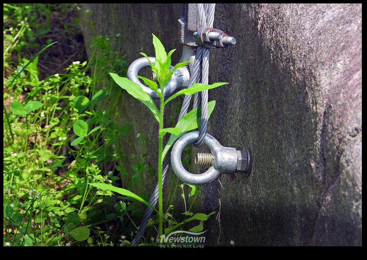 자연석 훼손현장