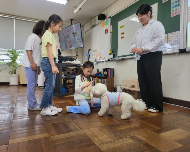 강아지와 직접 소통