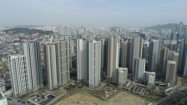 용마루자이크러스트