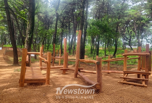 초전공원 유아숲체험원