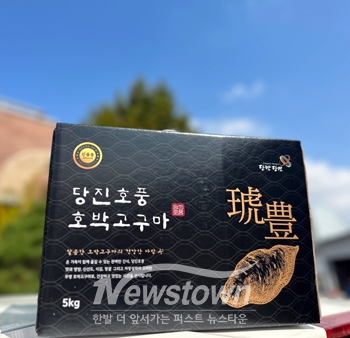 당진호풍 고구마