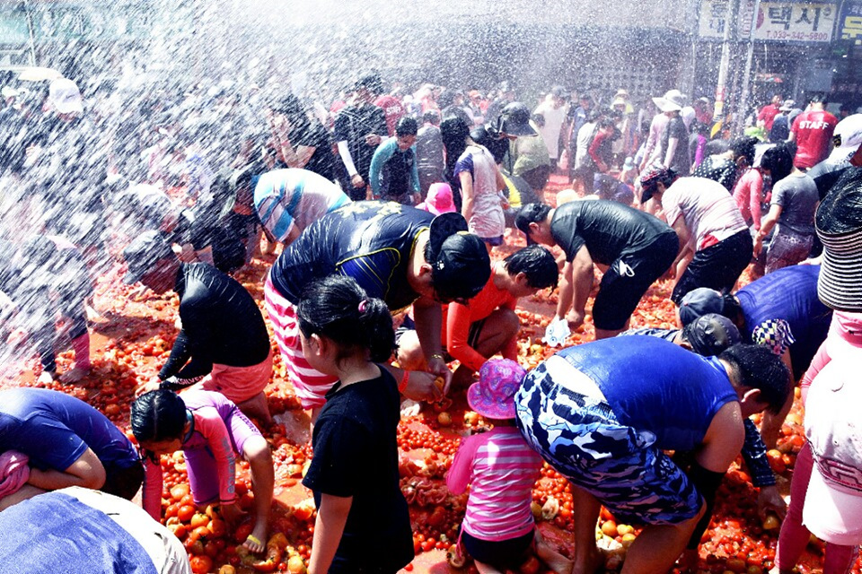 토마토축제 자료사진 (횡성군청제공)