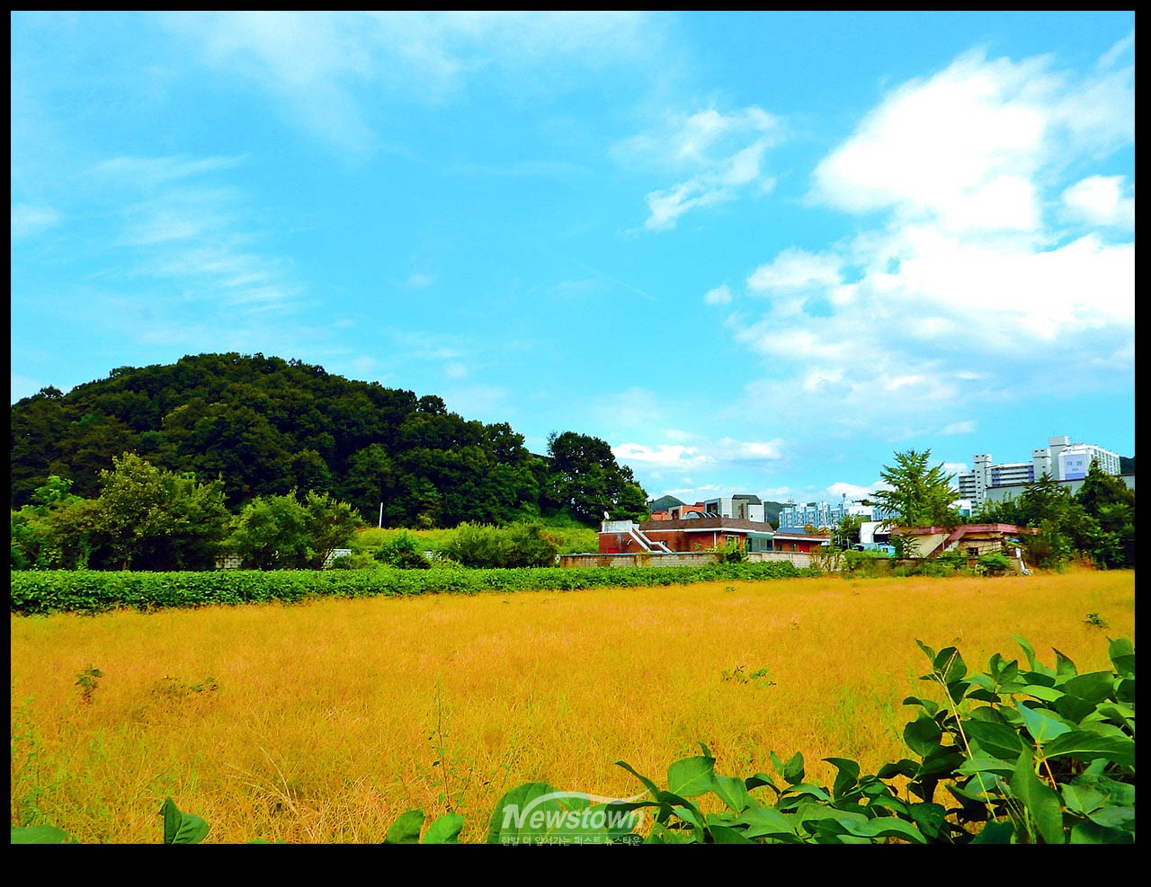풍년기약 현잔 사진