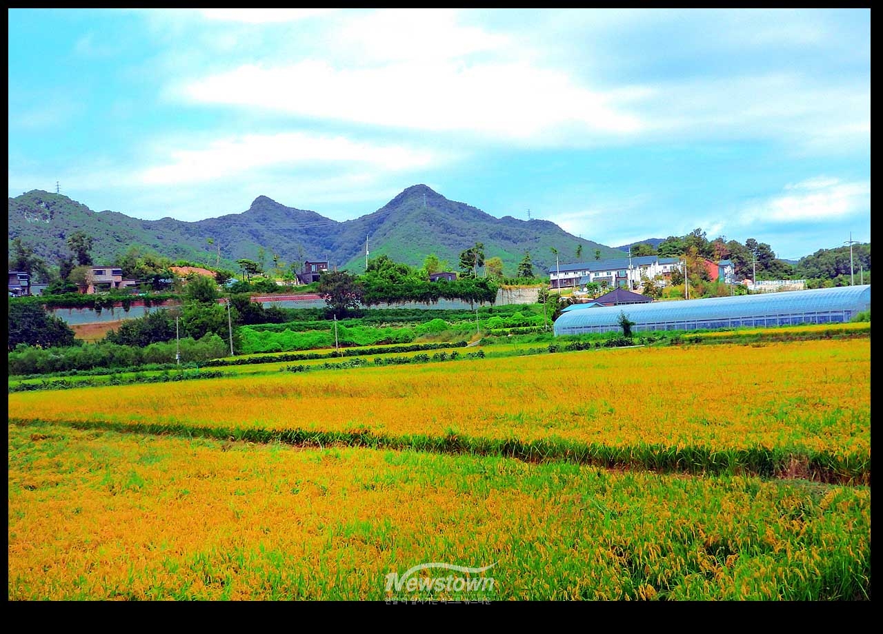풍년기약 현잔 사진