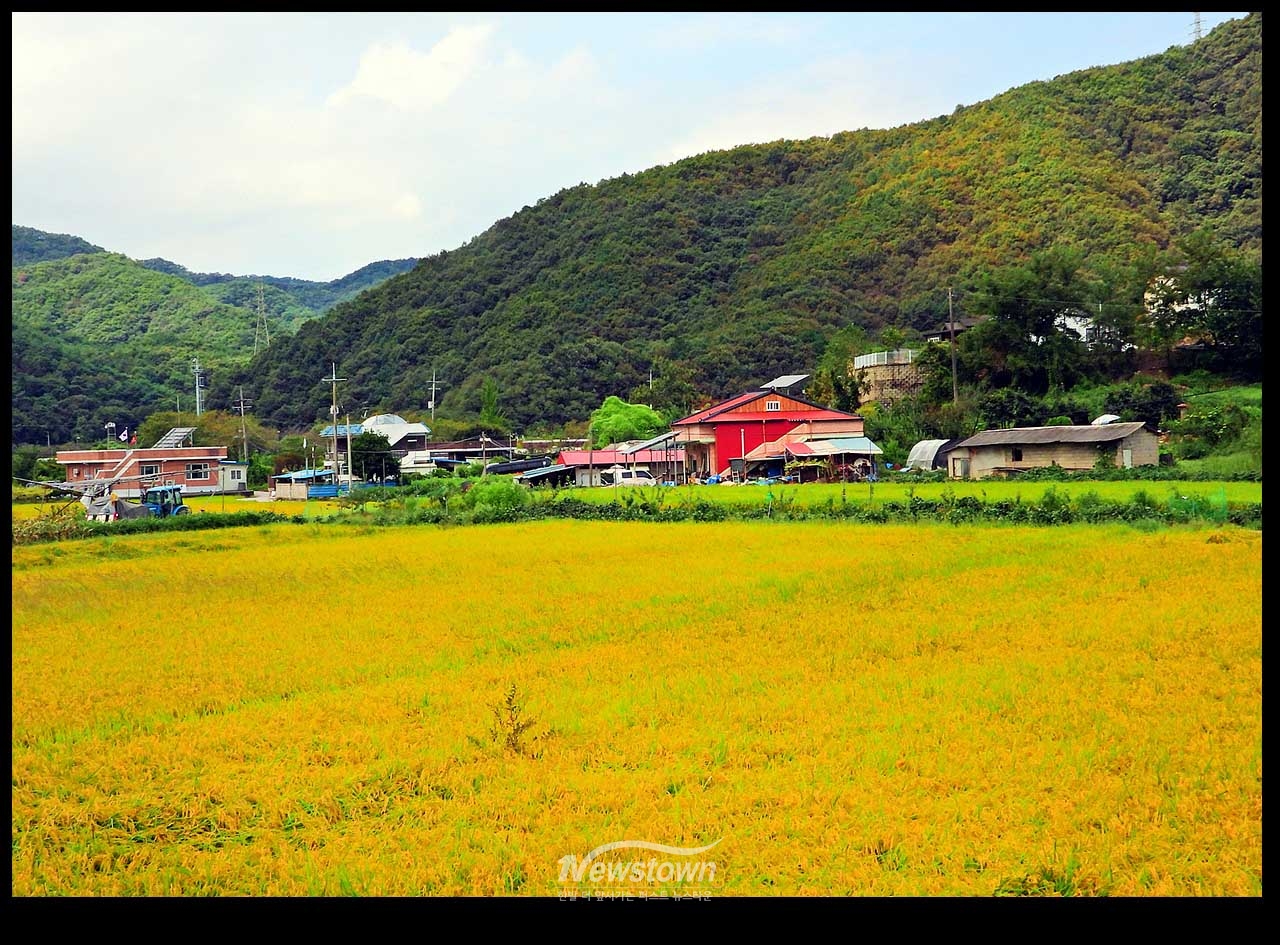 풍년기약 현잔 사진