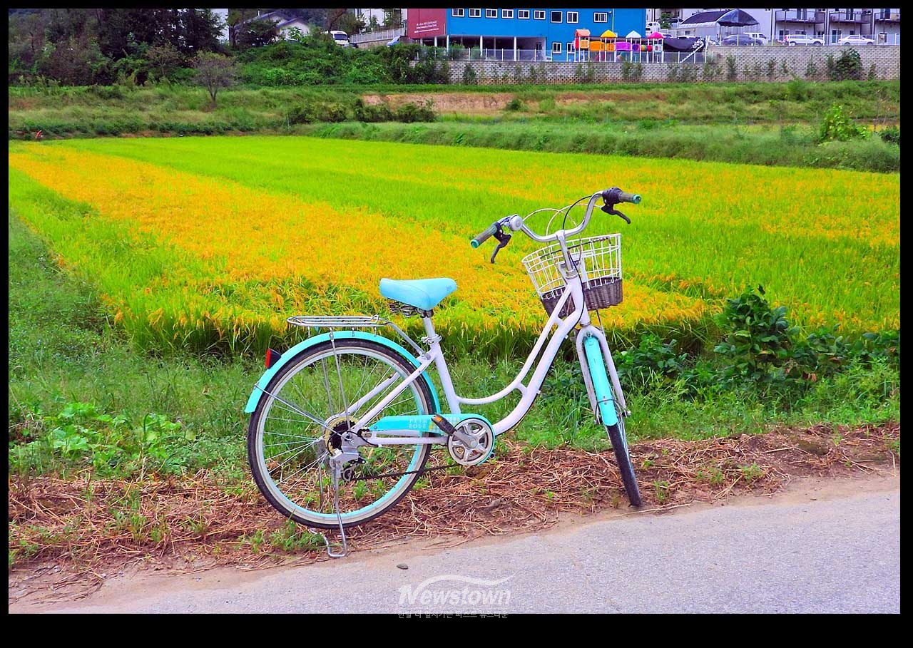 풍년기약 현잔 사진