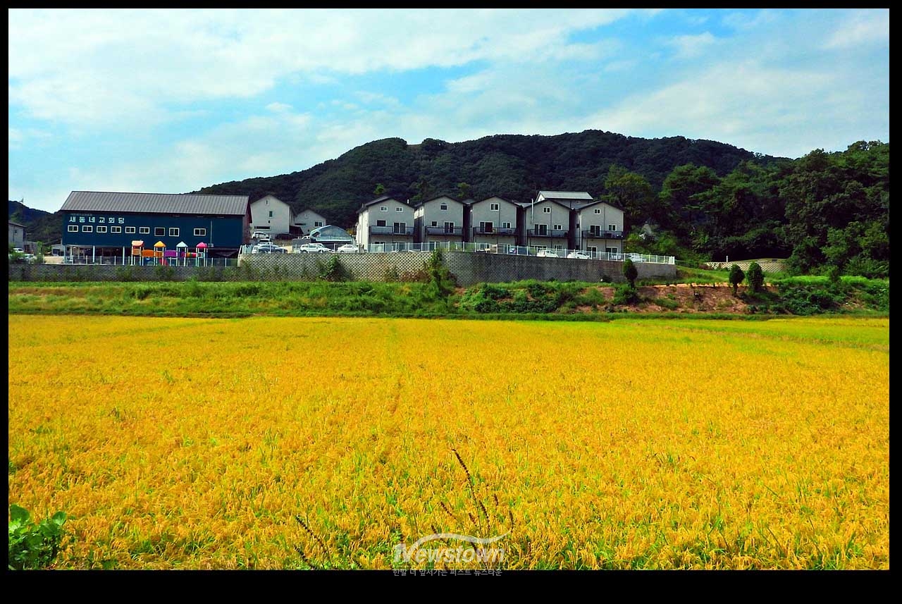 풍년기약 현잔 사진