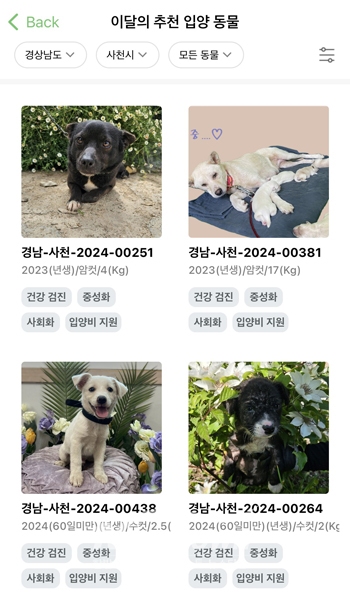 유기동물 입양 플랫폼 ‘포인핸드’
