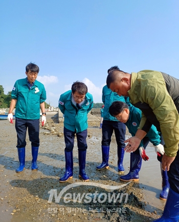 서산 가로림만 바지락 집단 폐사 피해 현장 점검