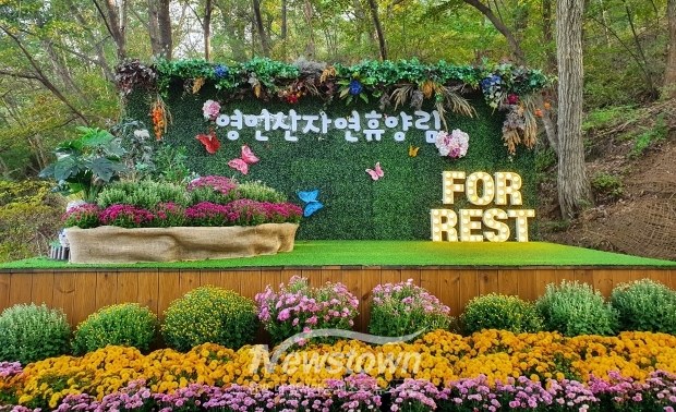 영인산수목원(국화 전시회)