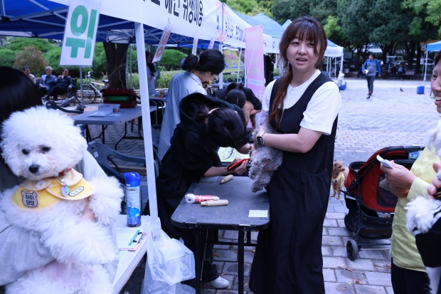 반려견 미용 무료부스