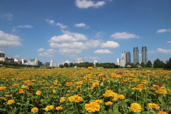 울산 태화강 국가정원의 가을 정취.