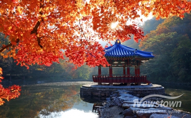 / 사진=정읍 내장산(정읍시 제공)