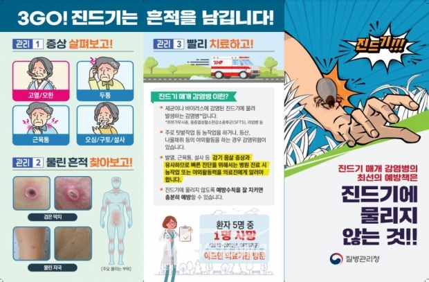 털진드기(쯔쯔가무시증)